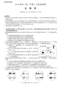 安徽省华师联盟2025-2026学年高三上学期1月质量检测生物试卷