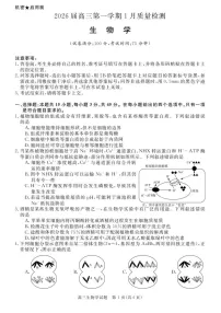 安徽省华师联盟2025-2026学年高三上学期1月质量检测生物试卷