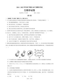 四川省成都市第七中学2024-2025学年度下期高一期末测试生物试卷（无答案）