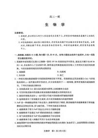 生物丨河南省新乡市、鹤壁市、安阳市、焦作市2026届高三上学期一模试卷及答案