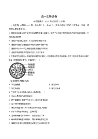 河南省名校联考2025-2026学年高一上学期11月期中考试 生物（含答案）