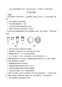 河南省商丘市商师联盟2025-2026学年高一上学期期中联考 生物试卷（含答案）