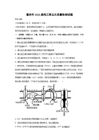 2026届重庆市高三上第五次质量检测生物试卷（学生版）