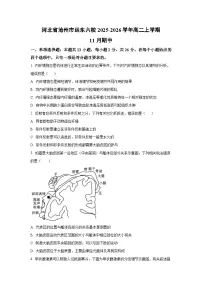 2025-2026学年河北省沧州市运东六校高二上学期11月期中生物试卷（学生版）