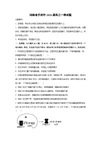 2026届河南省开封市高三一模生物试卷（学生版）