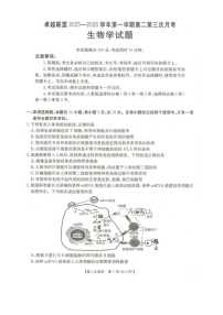 河北省邢台市卓越联盟2025-2026学年高二上学期1月月考生物试题