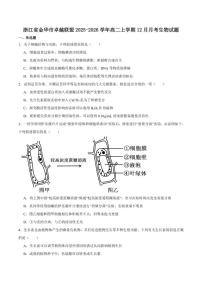 2025-2026学年浙江省金华市卓越联盟高二上学期12月阶段性联考生物试卷（有答案）