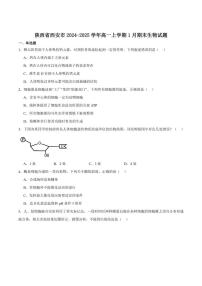 2024-2025学年陕西省西安市高一上学期期末质量监测生物试卷（有答案）