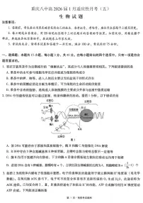 重庆市第八中学2026届高三1月高考适应性月考卷五（一诊）生物试题和答案含答案解析
