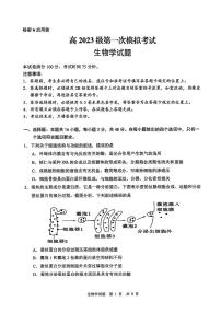 四川省广安市2026届高三上学期1月一诊生物试卷（PDF版附答案）