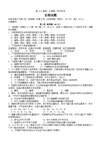 四川省泸州市泸县第五中学2024-2025学年高一上学期10月月考生物试题（无答案）
