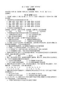 四川省泸州市泸县第五中学2024-2025学年高一上学期10月月考生物试题（无答案）