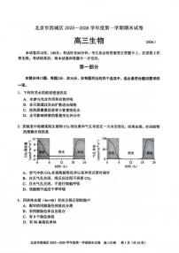 2025-2026学年北京市西城区高三上学期1月期末考试生物试题（无答案）