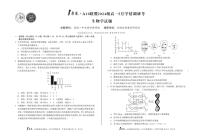 安徽省1号卷A10联盟2024级高一下学期5月学情调研考生物试卷（无答案）