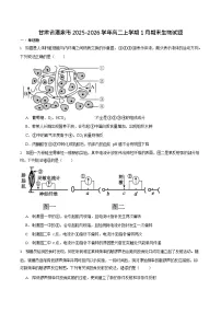 甘肃省酒泉市普通高中2025-2026学年高二上学期1月期末考试生物试卷
