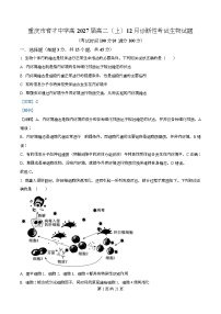 重庆市育才中学2025-2026学年高二上学期12月月考生物试题（Word版附解析）