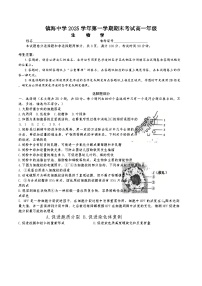 浙江省宁波市镇海中学2025—2026学年高一上学期期末考试生物试题（含答案）