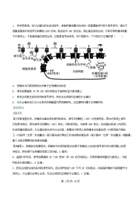 安徽省合肥市2025_2026学年高三生物上学期周测4试卷含解析