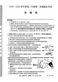 2025-2026学年黑龙江省龙东十校联盟高二上学期期末考试生物试卷（含答案）