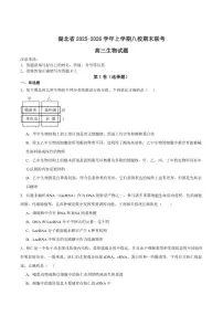 2026届湖北省八校高三上学期期末联考生物试卷（含答案）