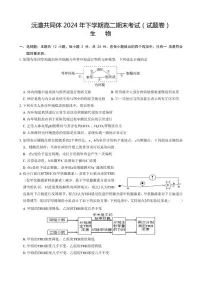2024-2025学年湖南省沅澧共同体高二上学期期末考试生物试题（含答案）