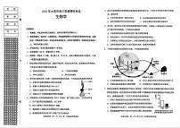 生物-辽宁省大连市2026年高三年级上学期双基模拟考试卷及答案