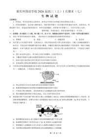 重庆实验外国语学校2025-2026学年高三上学期1月期末考试生物试卷（PDF版附解析）