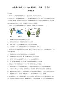 2025-2026学年安徽省滁州市定远县育才学校高一上学期12月月考生物试题（有答案）