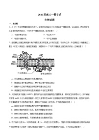 河北省沧州市重点高中2026届高三上学期12月一模考试 生物试卷(含答案）