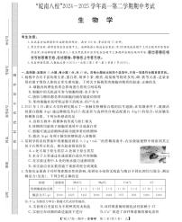 安徽省皖南八校2024-2025学年高一下学期4月期中考试生物试卷（乙）（无答案）