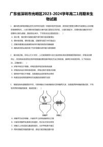 2023-2024学年深圳市光明区高二(上)期末生物试卷含答案