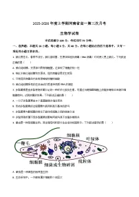 河南省2025-2026学年高一上学期第三次月考生物试卷（Word版附答案）
