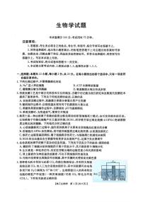 生物-河北五个一名校联盟2026届高三1月联考试卷及答案