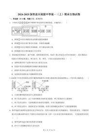 2024-2025学年深圳市盐田高级中学高一(上)期末生物试卷含答案