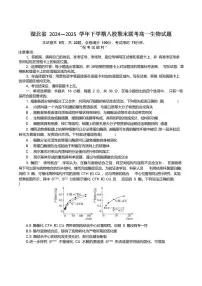 湖北省八校联考2024-2025学年高一下学期6月期末生物试卷（含答案）