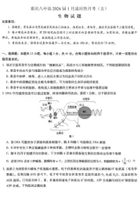重庆市第八中学2026届高三上学期1月高考适应性月考卷五（一诊）生物试卷（含解析）
