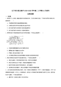 辽宁省部分重点高中2025-2026学年高二上学期12月联考生物试题（Word版附答案）