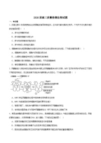 河南省豫西北教研联盟（平许济洛）2026届高三上学期1月质量检测生物试卷（Word版附答案）
