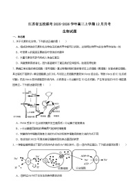 江苏省徐州市第一中学、徐州市第三中学等五校2026届高三上学期12月联考生物试卷（Word版附答案）
