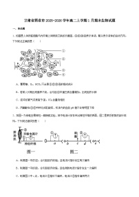 甘肃省酒泉市普通高中2025-2026学年高二上学期1月期末考试生物试卷（含答案）含答案解析