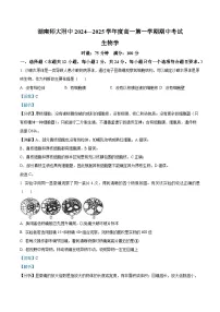 湖南省湖南师范大学附属中学2024-2025学年高一上学期期中考试生物试题（含解析