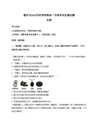 海南省儋州市部分学校2025_2026学年高一上学期12月月考生物试题（文字版，含答案）