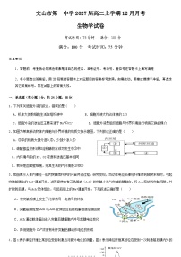 云南省文山壮族苗族自治州文山市第一中学2025-2026学年高二上学期12月月考生物试卷（无答案）