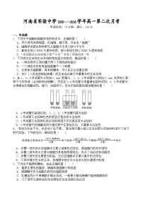 河南省实验中学2025-2026学年高一上学期第二次月考生物试卷（无答案）