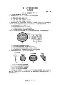 2025-2026学年山东省枣庄市市中区枣庄市第三中学高一上学期1月月考生物试题（含答案）