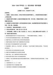 辽宁省沈阳市联合体2024-2025学年高一上学期11月期中考试生物试题（无答案）