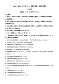 辽宁省沈阳市联合体2024-2025学年高一上学期11月期中考试生物试题（无答案）