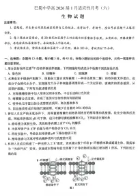 重庆市巴蜀中学2026届高三上学期高考适应性月考卷（六）生物试卷+答案