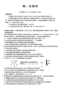 金太阳广东省2028届高一上学期12月联考（26-152A）生物试卷（含答案）