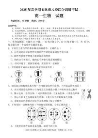 广西玉林市八校2024-2025学年高一下学期4月期中联合调研测试生物试卷（无答案）